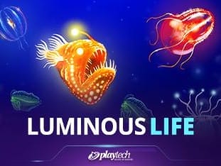 Luminous Life